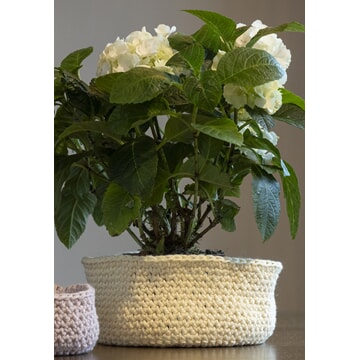 k-2606-13a "Solea" kurv