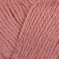 25500h_Rel 554 farge.jpg