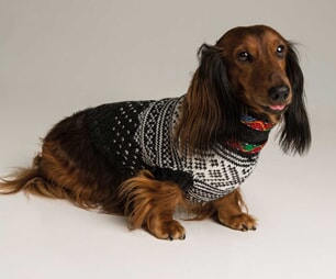 Hundedress