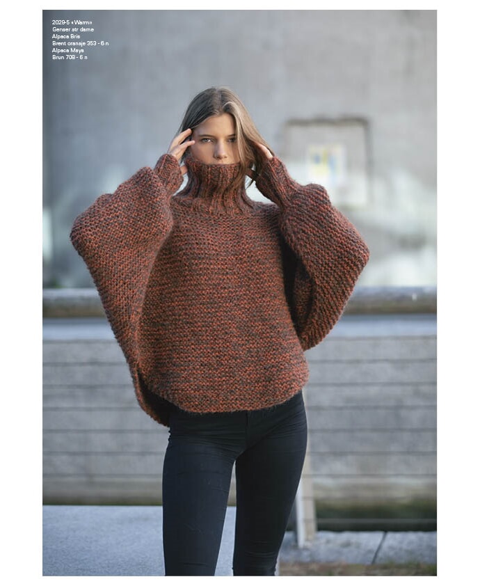 k-2029-05 2029 s6_1.jpg