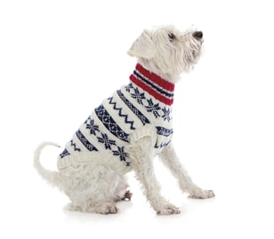 1401-11a hvit hundedress