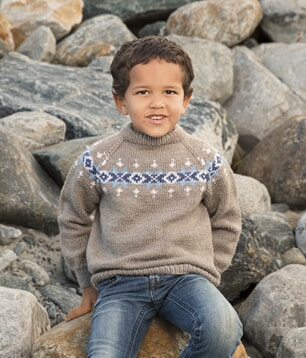 1615-9 Føniks genser