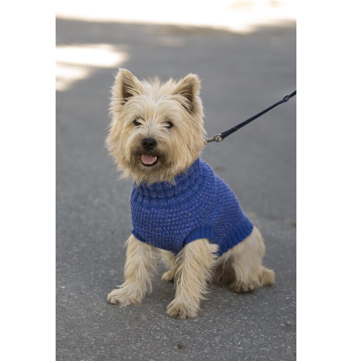 k-1711-26 2017 reflex-2367_1.jpg