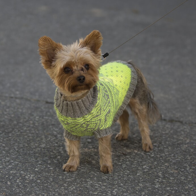 k-1711-27 2017 reflex-2363_1.jpg