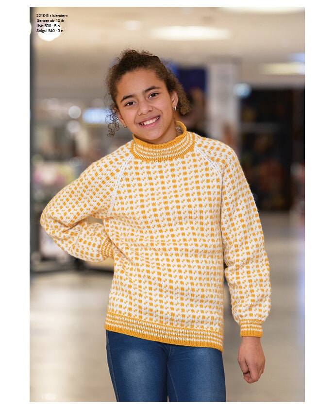 k-2210-08 2210 s12.jpg